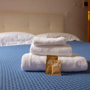 Oasi San Francesco Hotel Rome